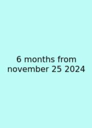 6 Months From November 25 2024