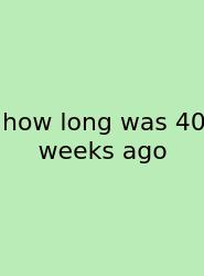 How Long Was 40 Weeks Ago