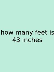 How Many Feet Is 43 Inches