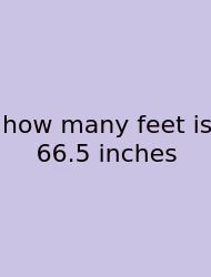 How Many Feet Is 66.5 Inches